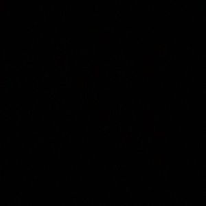 Meet your Posher, Lydia